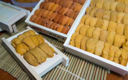 Japanese Fresh Sea Urchin