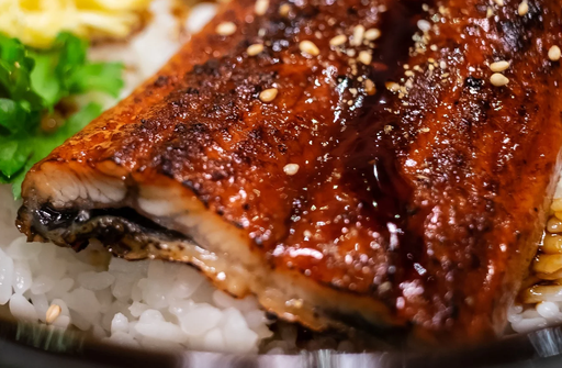 [AB001] Roasted Eel