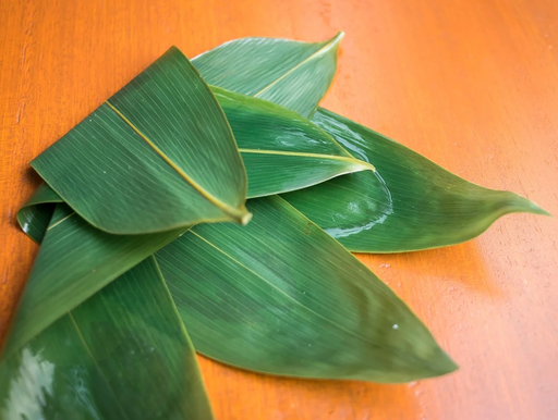 Sasa Leaf